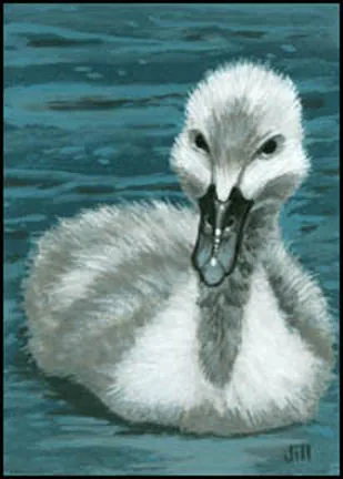 Cygnet, painting by Jill Bauman