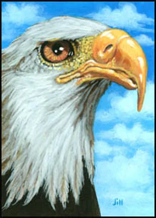 Eagle, painting by Jill Bauman