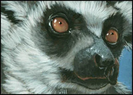 Lemur, painting by Jill Bauman