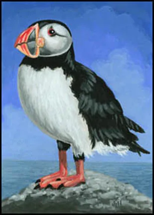 Puffin, painting by Jill Bauman