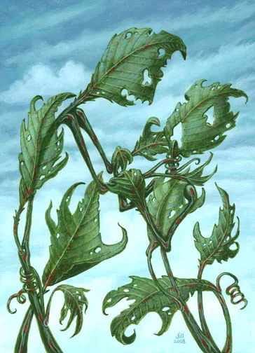 Weed Species, painting by Jill Bauman (Jack Ketchum)